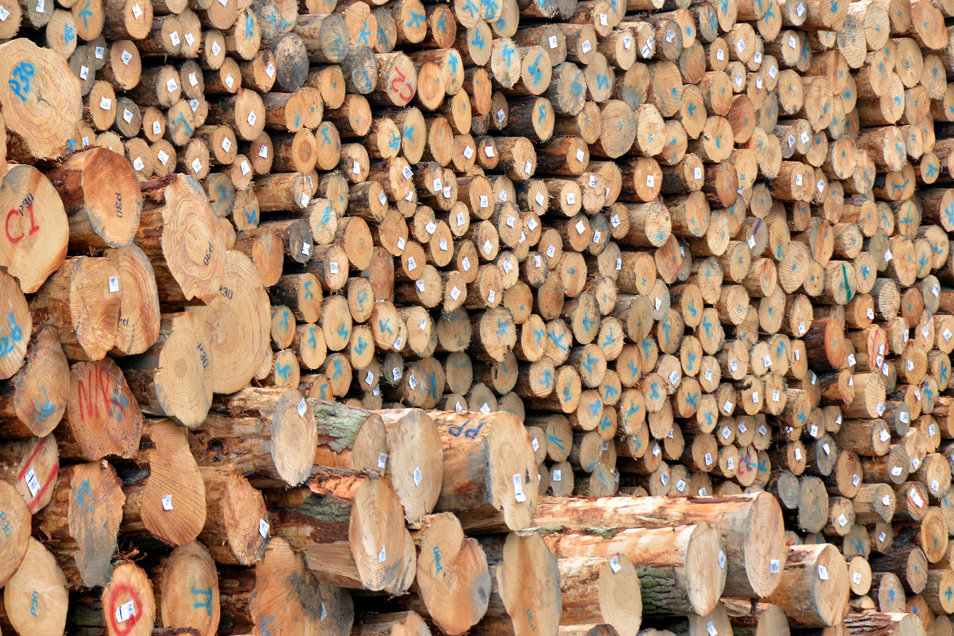 Community Entry DSC 3820